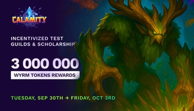 Calamity MMORPG Announces New Competitive Playtest for September 30th on Ronin Network with Exclusive Rewards