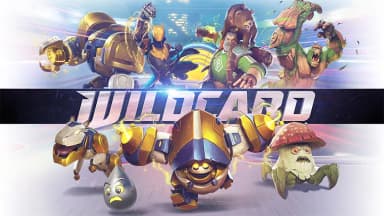 Wildcard